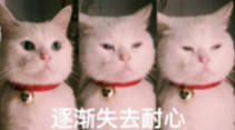 图片[1]-宝藏软件来袭，让你的电脑告别卡顿！-软迷精选